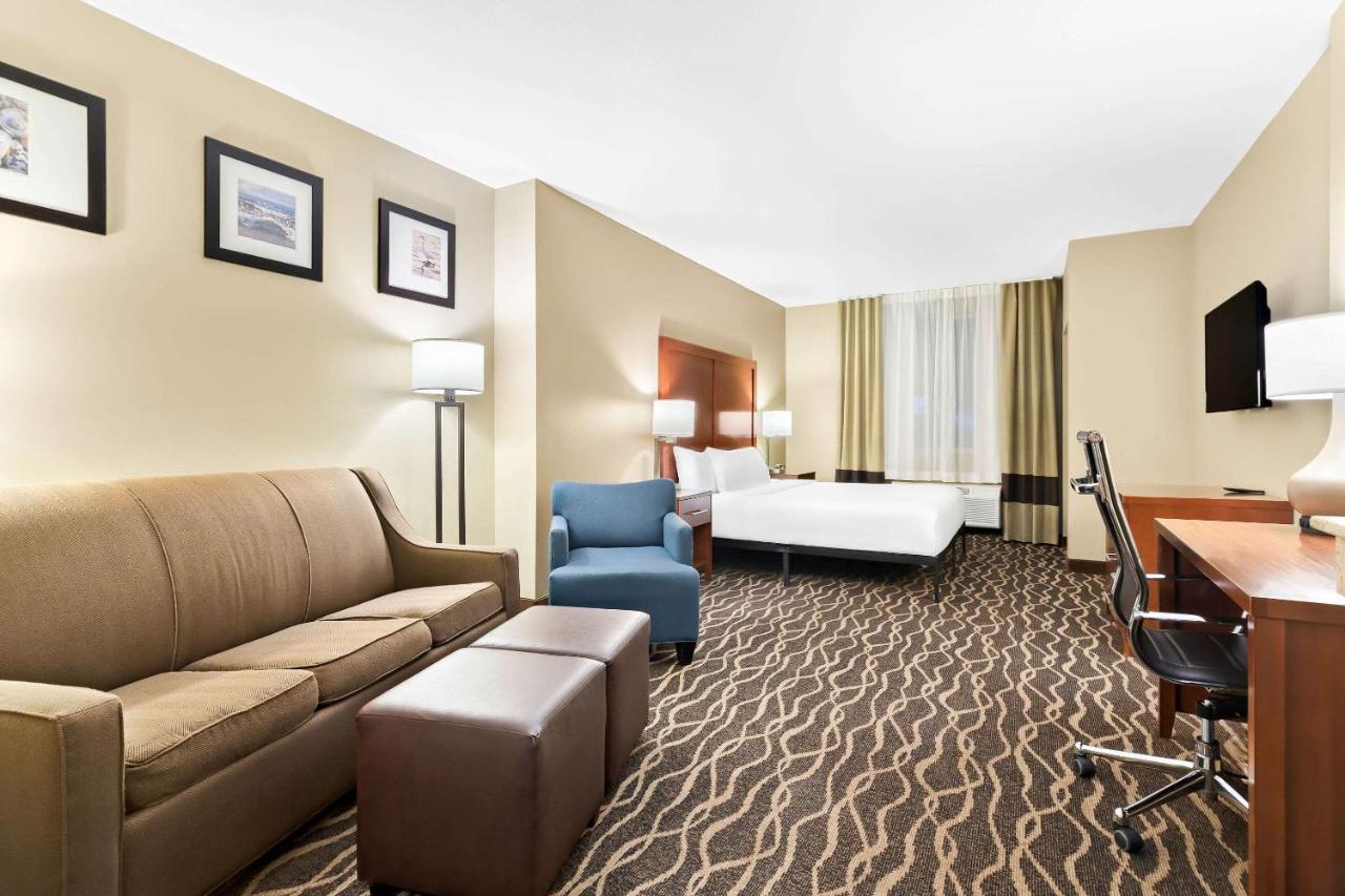 King Suite - Accessible/Non-Smoking/First Floor at Comfort Suites Tampa Airport North