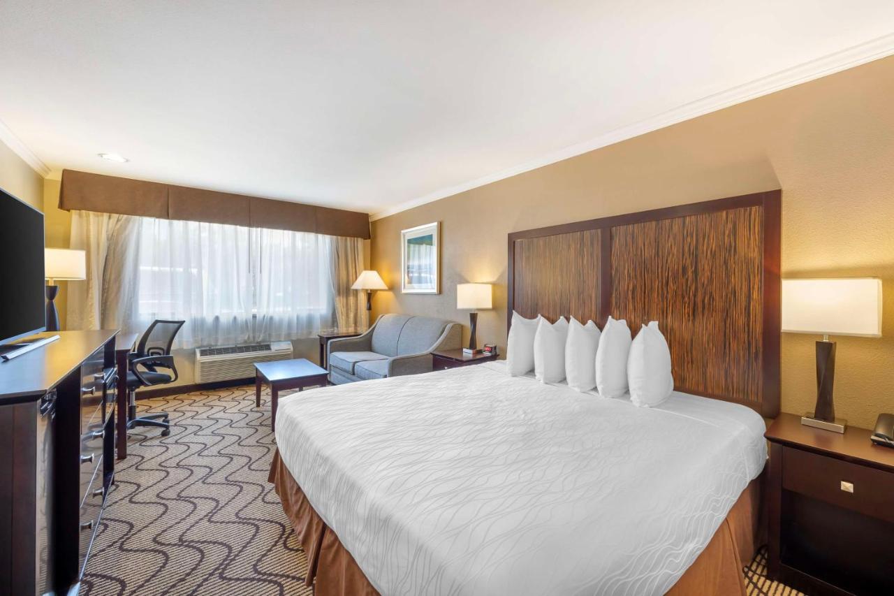  | Best Western Plus Orchid Hotel & Suites