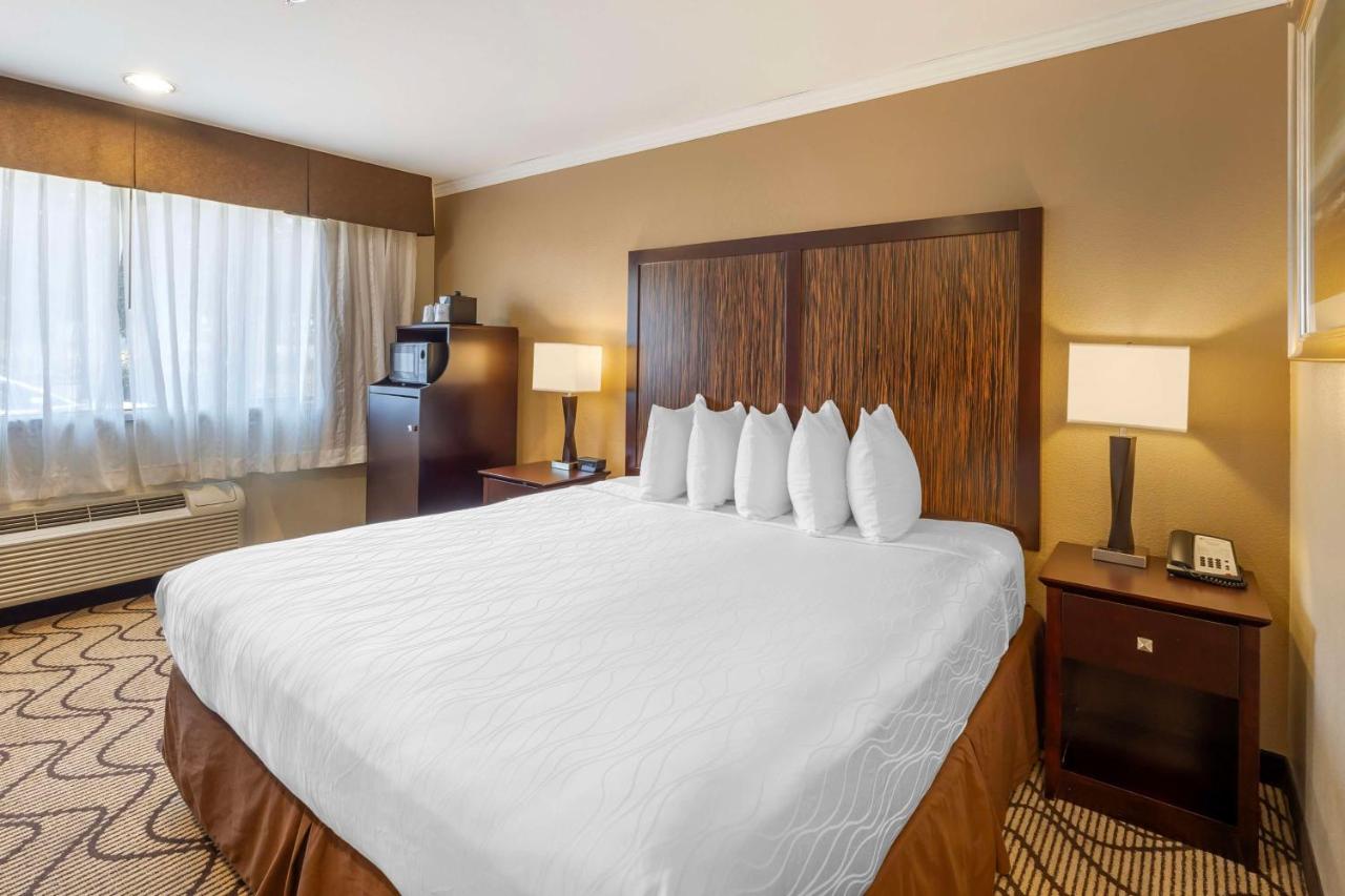  | Best Western Plus Orchid Hotel & Suites