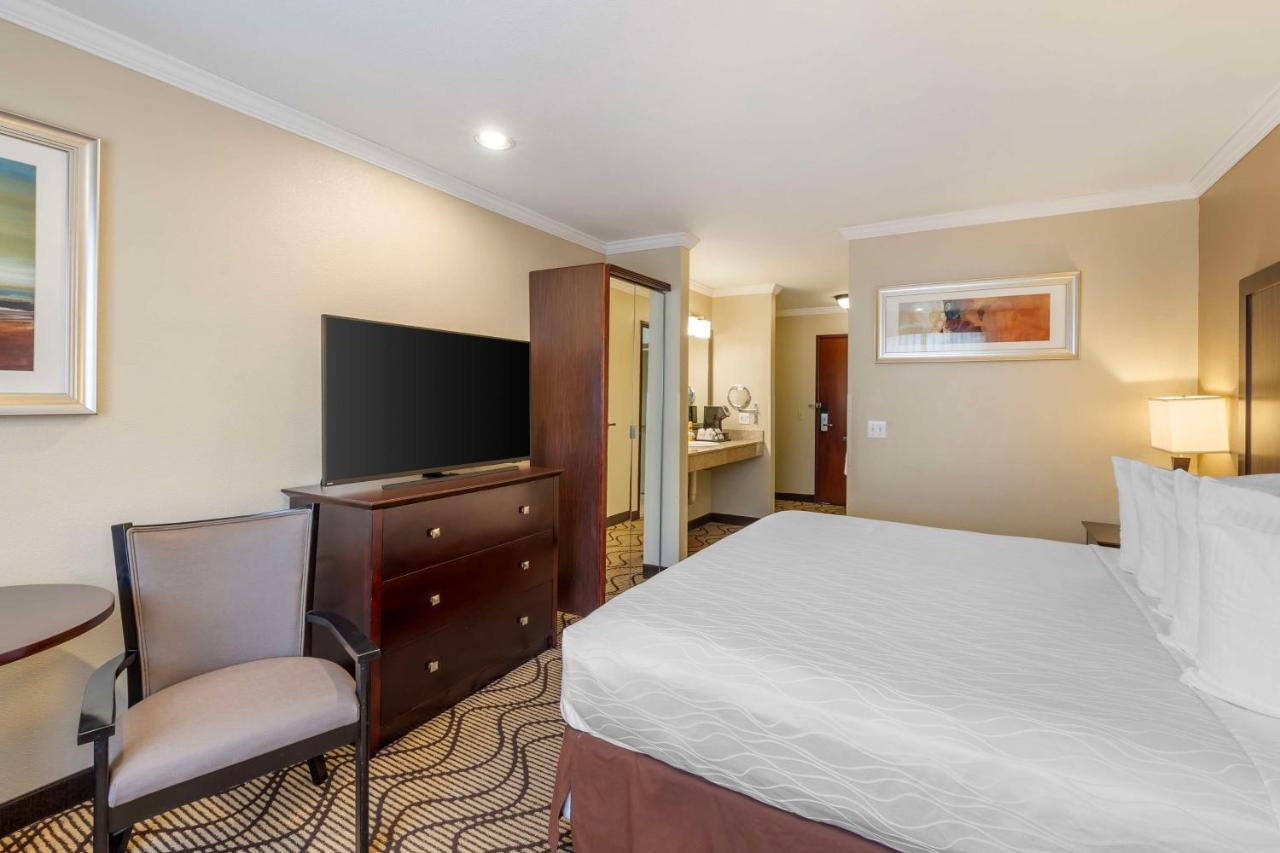 King Room with Roll-In Shower - Disability Access at Best Western Plus Orchid Hotel & Suites
