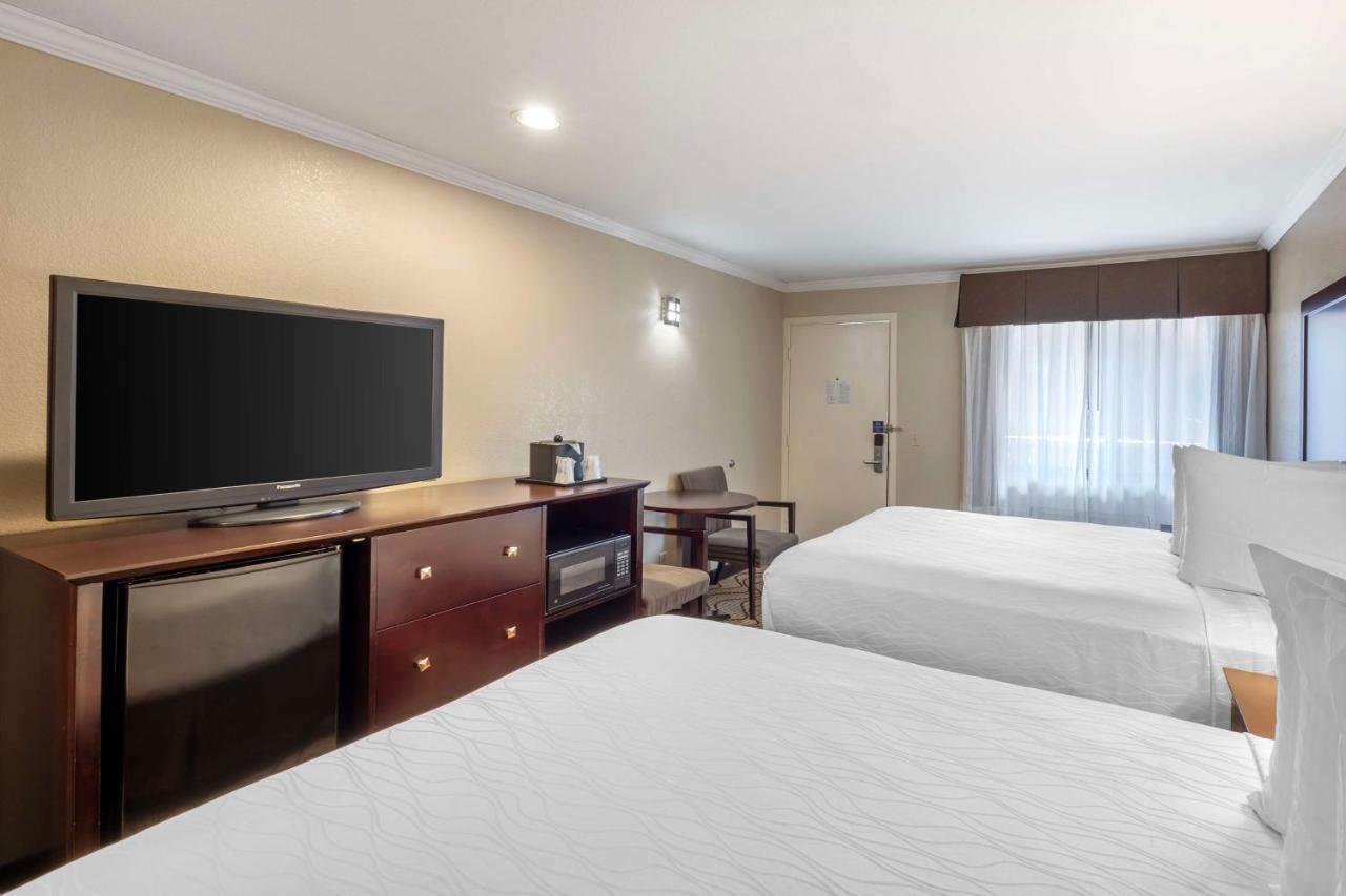  | Best Western Plus Orchid Hotel & Suites