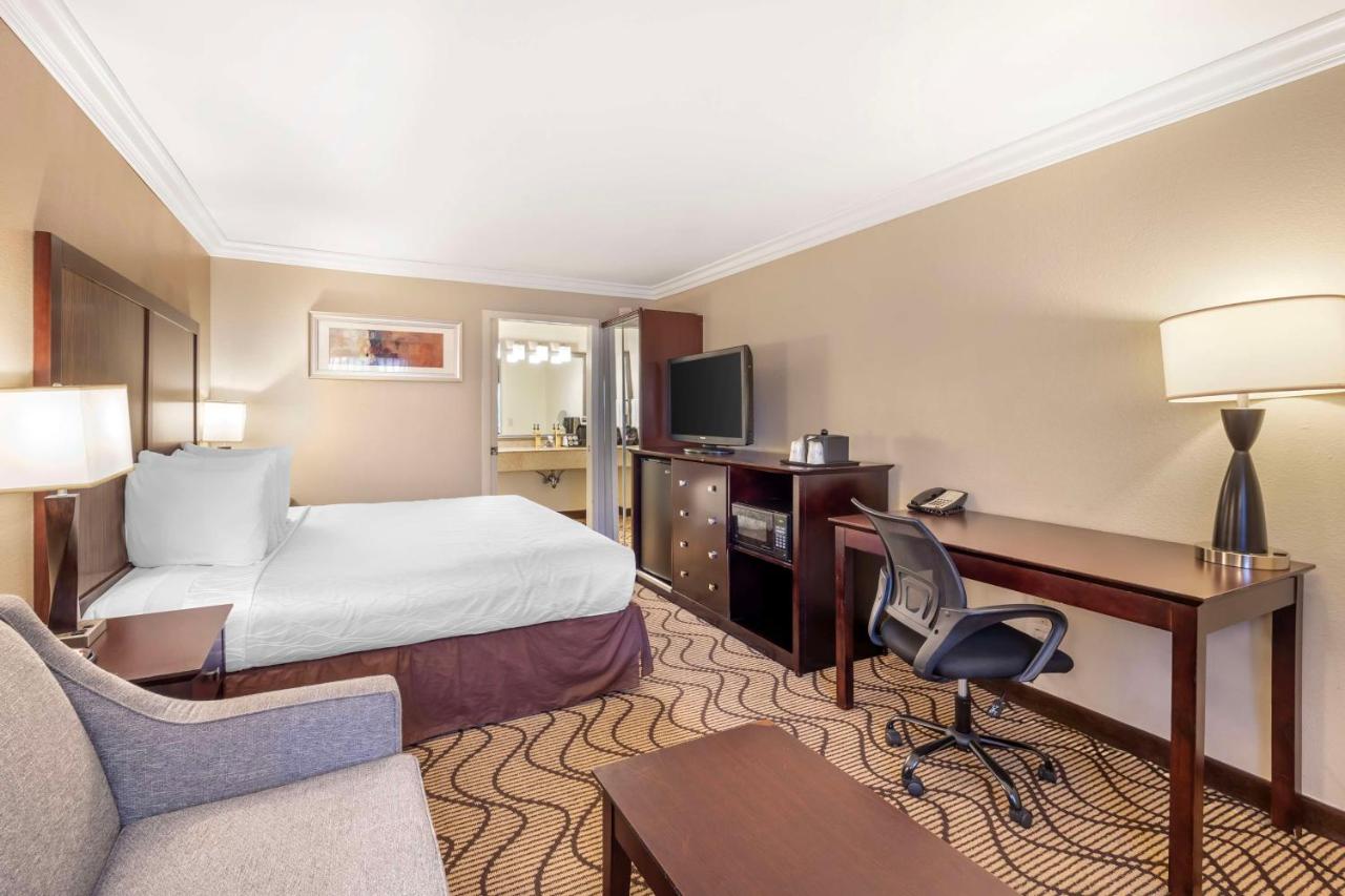 King Room - Non-Smoking at Best Western Plus Orchid Hotel & Suites