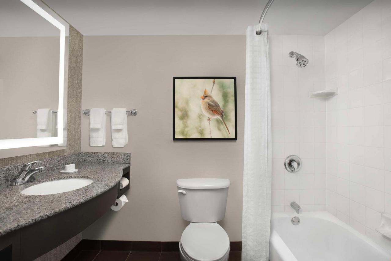 King Room at Hilton Garden Inn Hoffman Estates