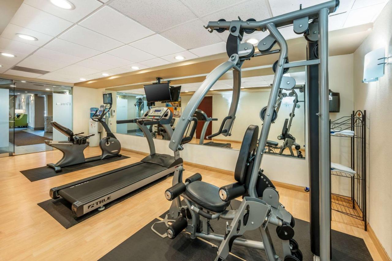 | Comfort Inn and Suites East Hartford