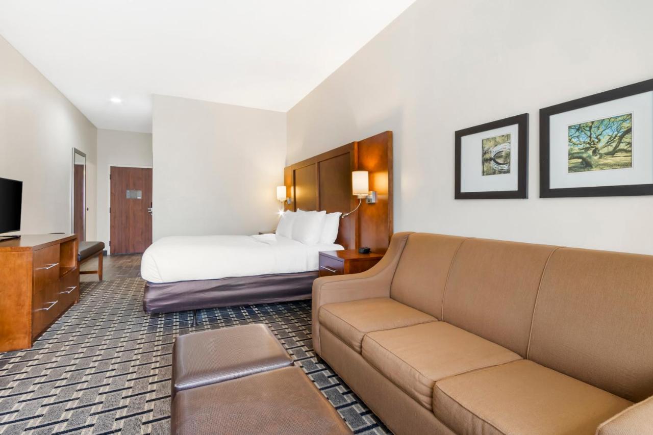 Efficiency Queen Suite - Accessible/Non-Smoking at Comfort Inn Summerville - Charleston