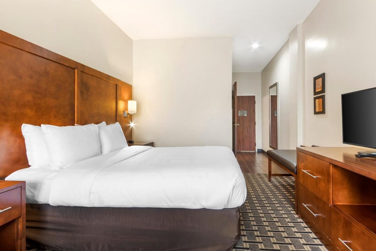 Queen Suite - Disability Access/Non-Smoking at Comfort Inn Summerville - Charleston