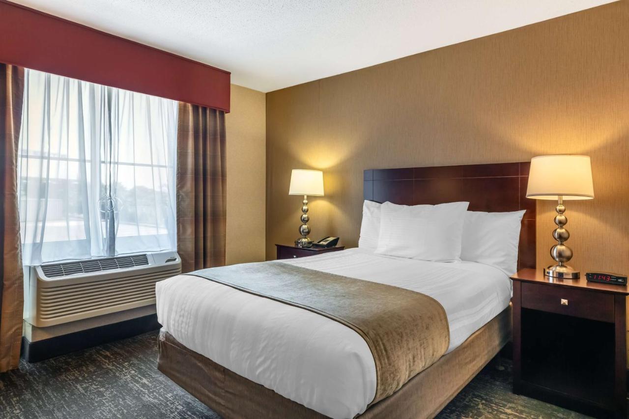 Queen Room with Roll-In Shower - Disability Access at Best Western Braintree Inn