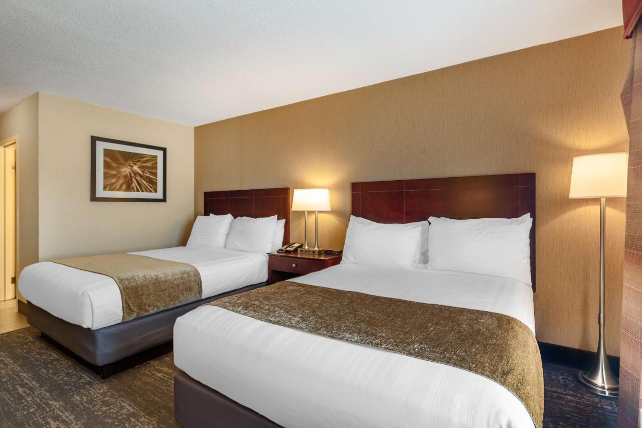 Queen Room with Two Queen Beds - Non-Smoking at Best Western Braintree Inn