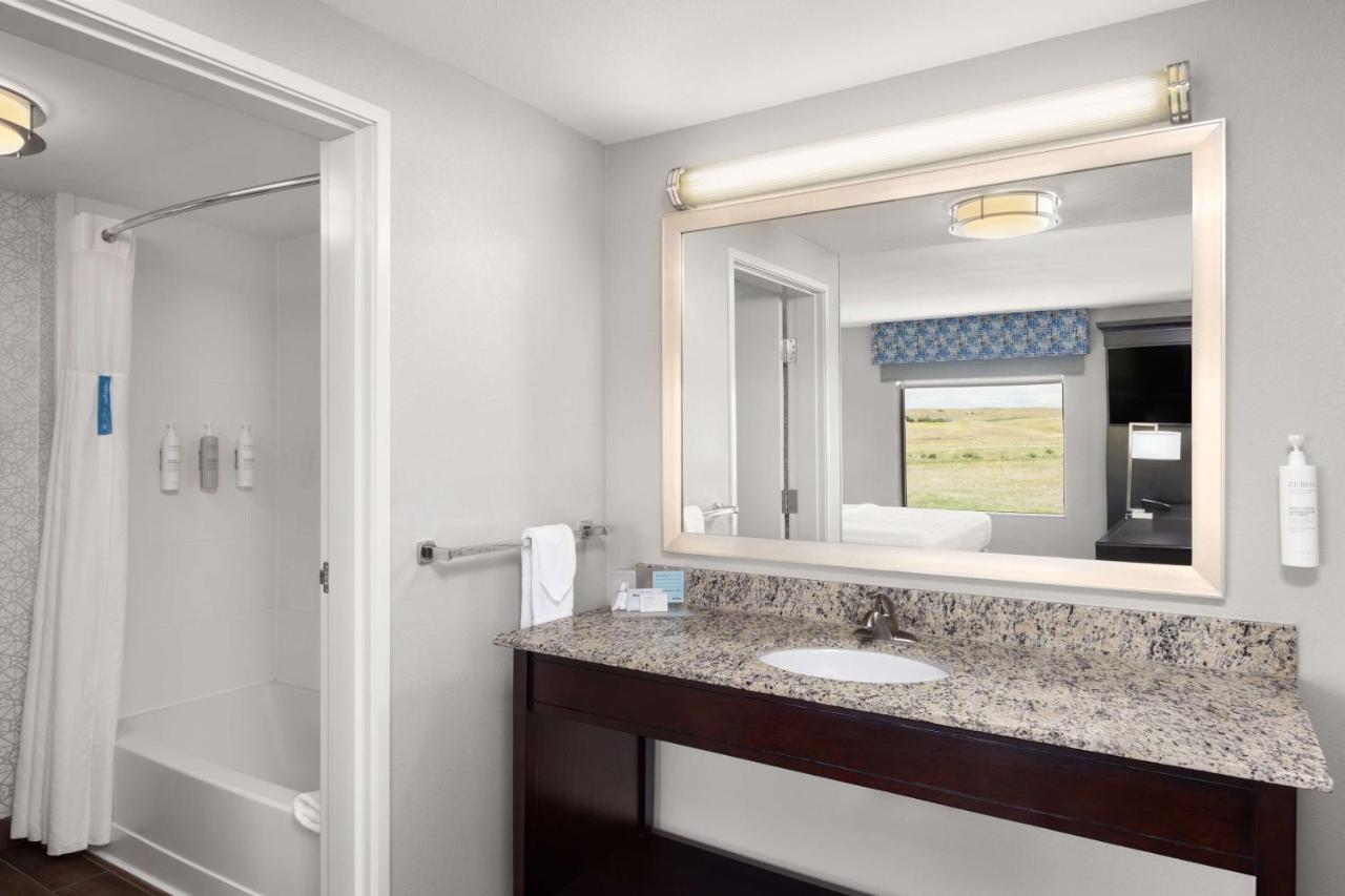 King Studio at Hampton Inn & Suites Douglas