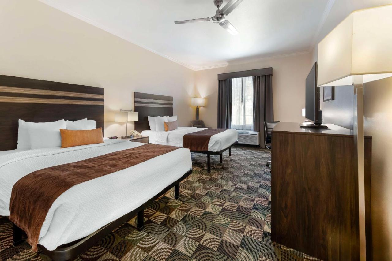 Queen Room - Non-Smoking at Best Western Plus Country Park Hotel