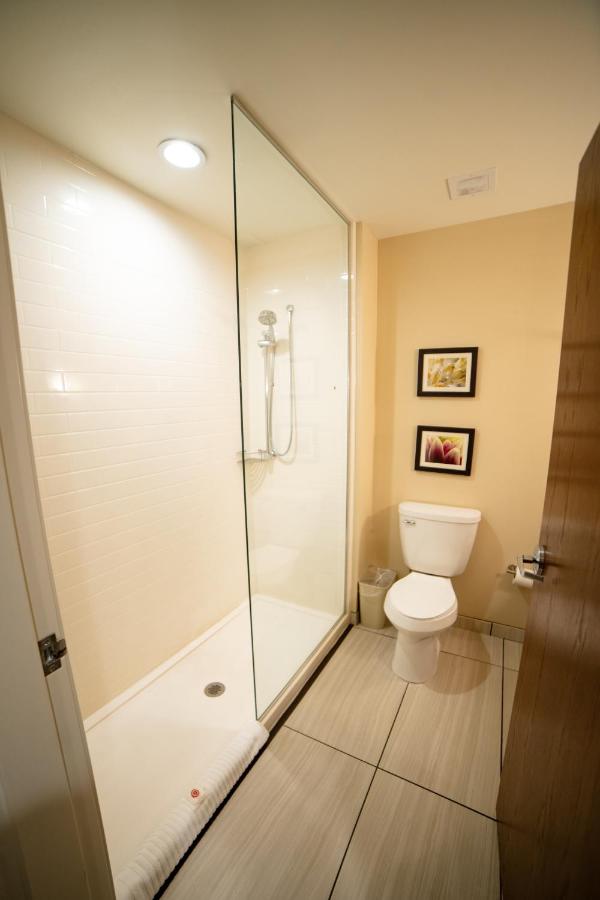 King Suite - Non-Smoking at Comfort Suites University