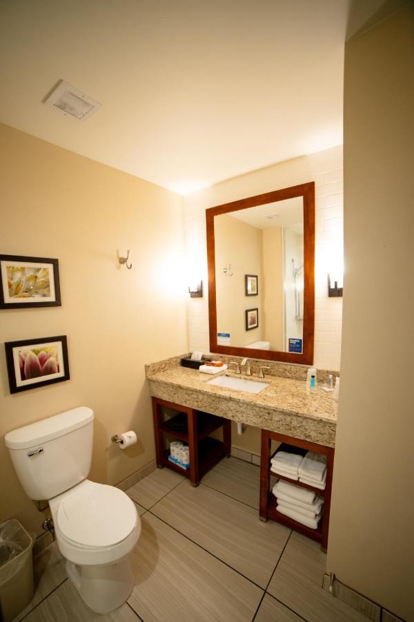 King Suite - Non-Smoking at Comfort Suites University
