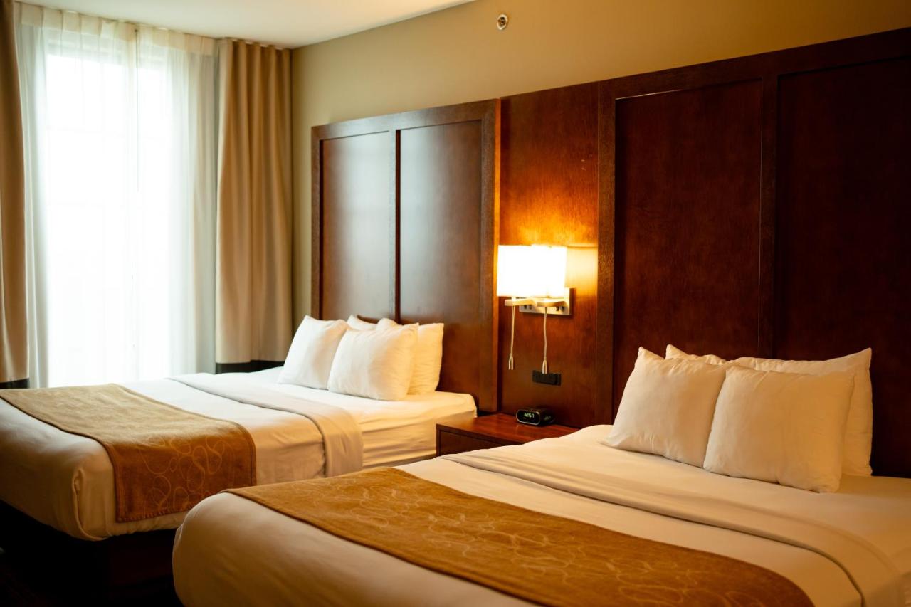 Queen Suite with Two Queen Beds at Comfort Suites University