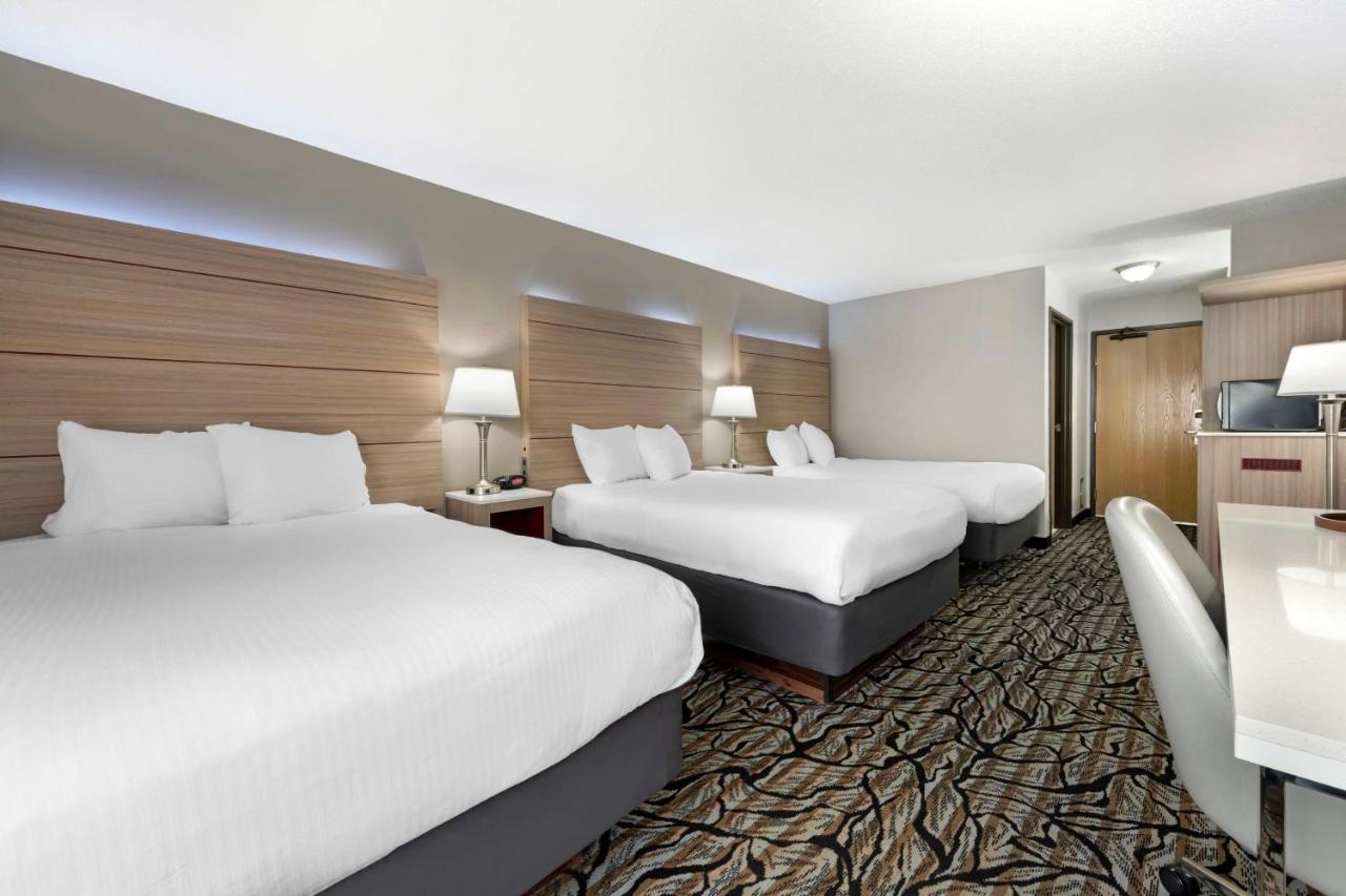 Triple Room with Three Double Beds at Best Western Plus Albert Lea I-90/I-35 Hotel