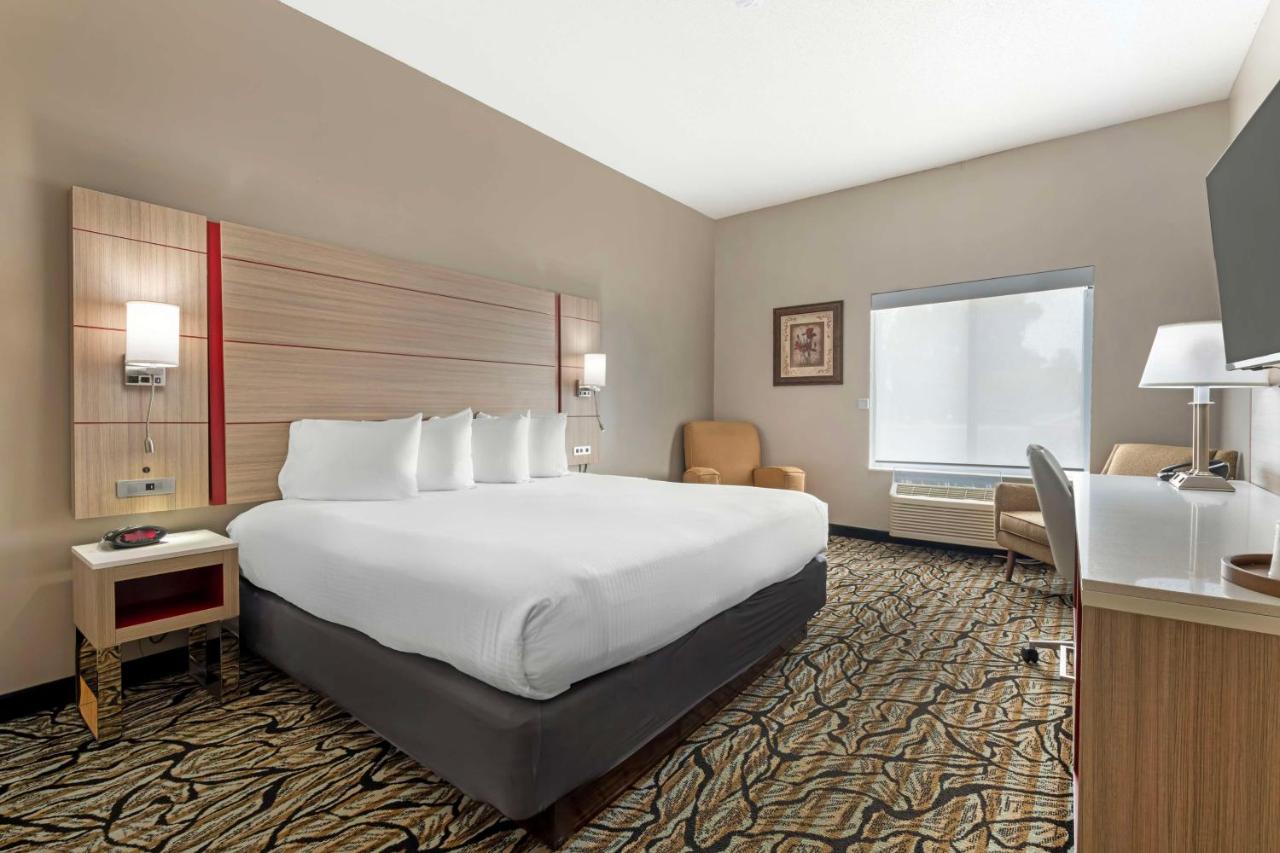 King Room - Non-Smoking at Best Western Plus Albert Lea I-90/I-35 Hotel