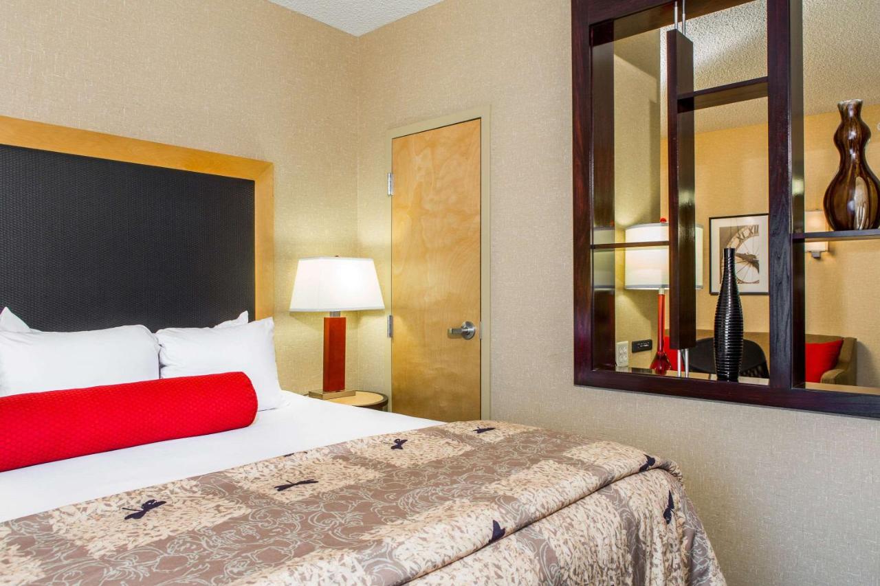 | Cambria Hotel Raleigh - Durham Airport