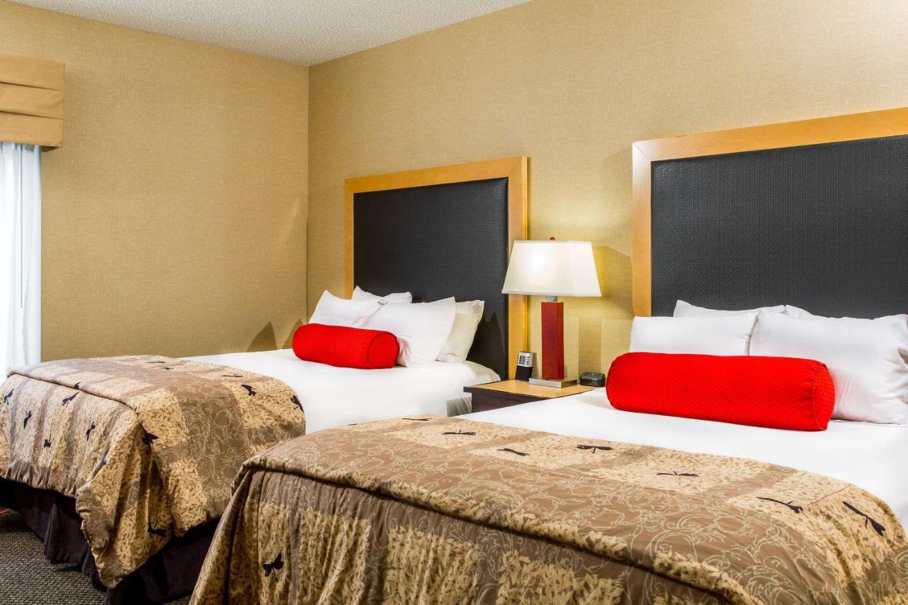 | Cambria Hotel Raleigh - Durham Airport