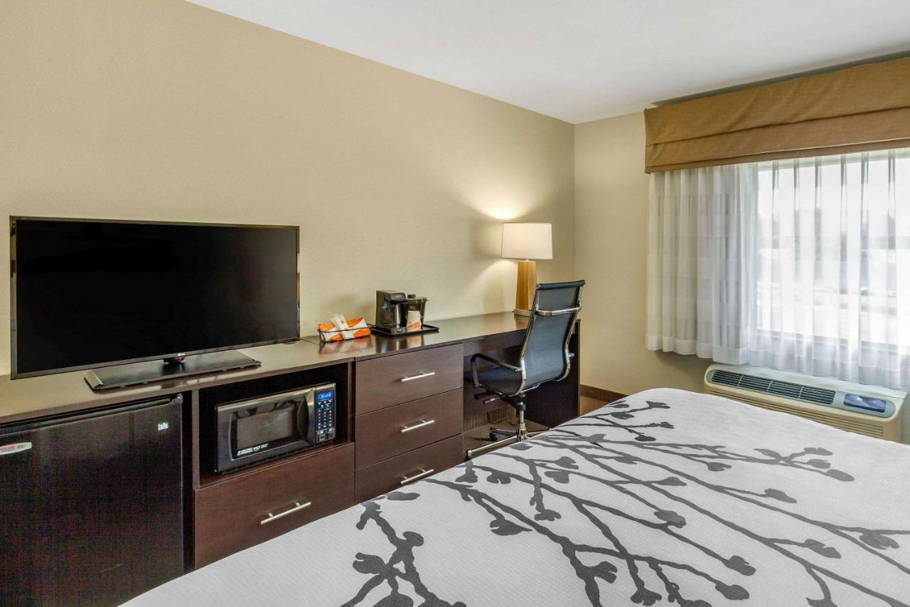 Standard King Room - Non-Smoking at Sleep Inn & Suites Lincoln University Area