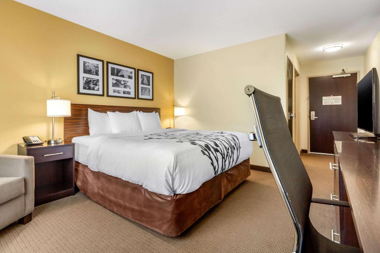 Standard King Room - Non-Smoking at Sleep Inn & Suites Lincoln University Area