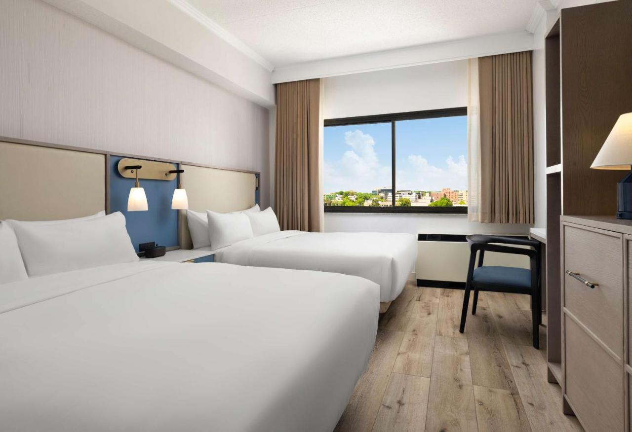 Preferred Two Queens at Sonesta White Plains Downtown