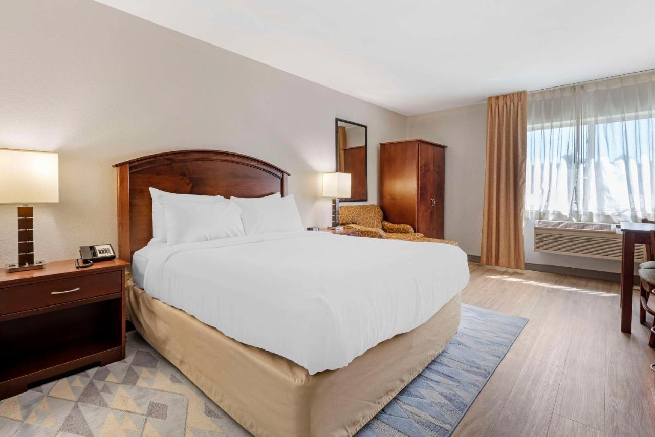 Queen Room with Roll-In Shower - Accessible/Non-Smoking at Comfort Inn Albert Lea at Trails Travel Center