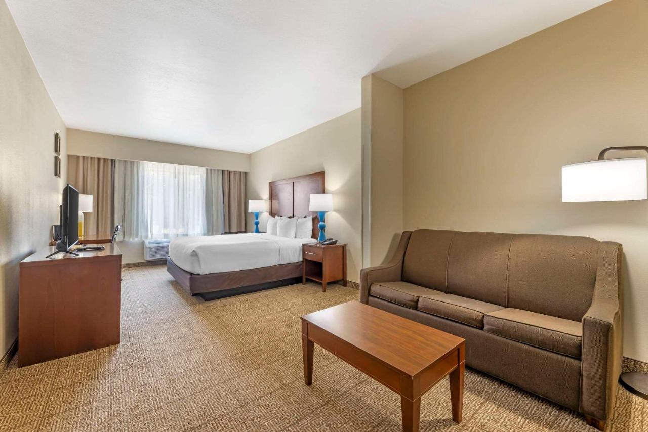 Standard King Room at Comfort Suites Near Vancouver Mall