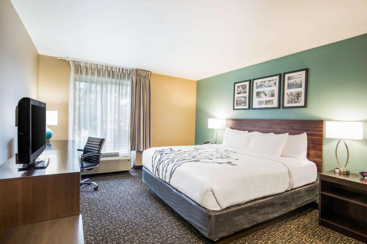 King Room - Non-Smoking/Pet Friendly at Sleep Inn & Suites Dunmore