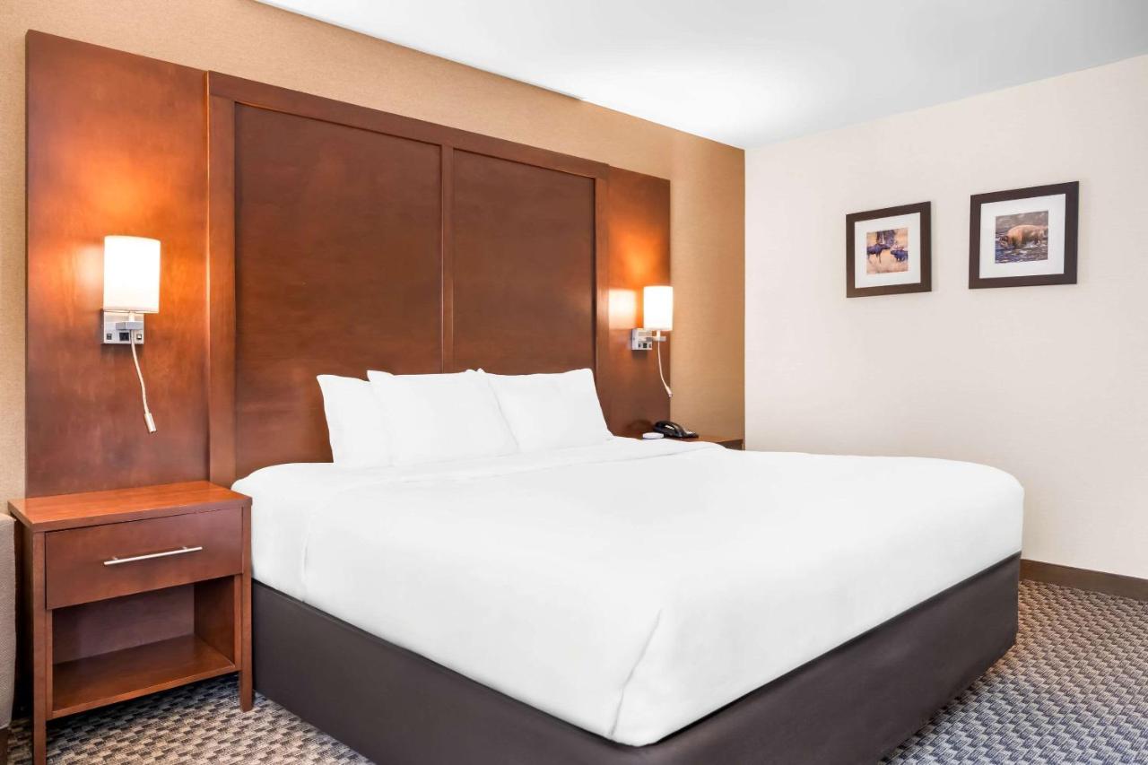 King Room - Non-Smoking at Comfort Inn at Buffalo Bill Village Resort