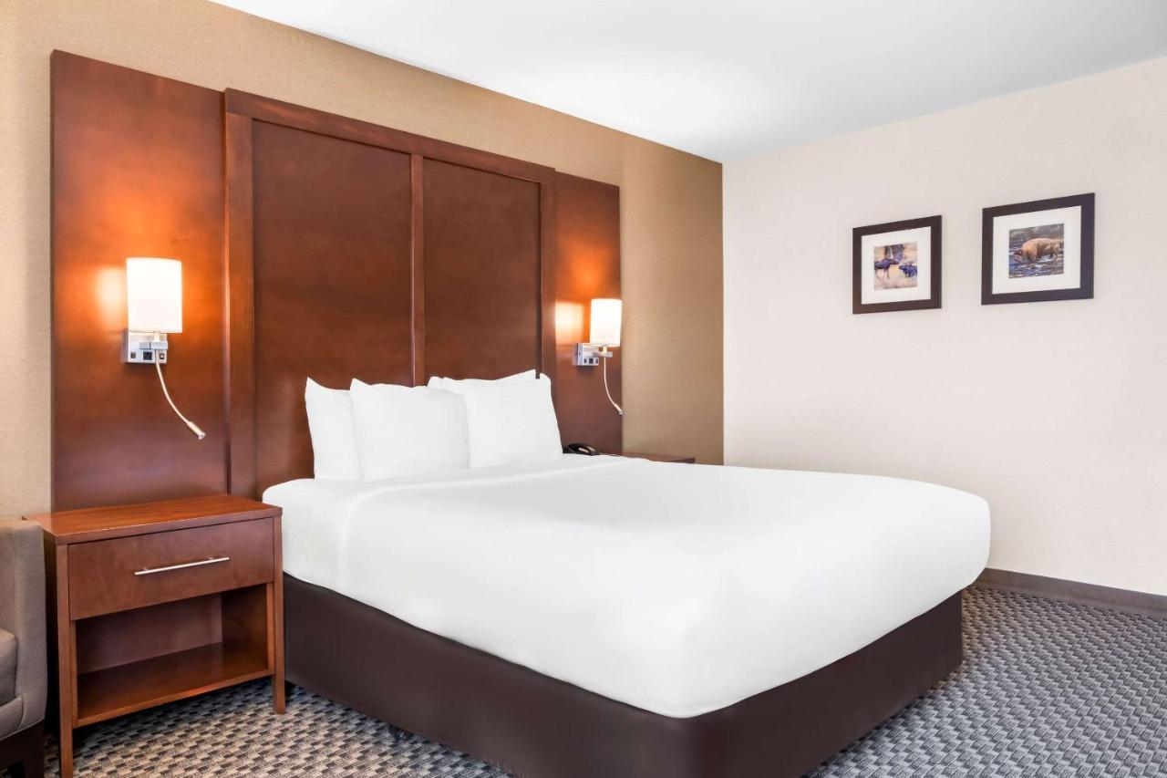 King Room - Disability Access/Non-Smoking at Comfort Inn at Buffalo Bill Village Resort