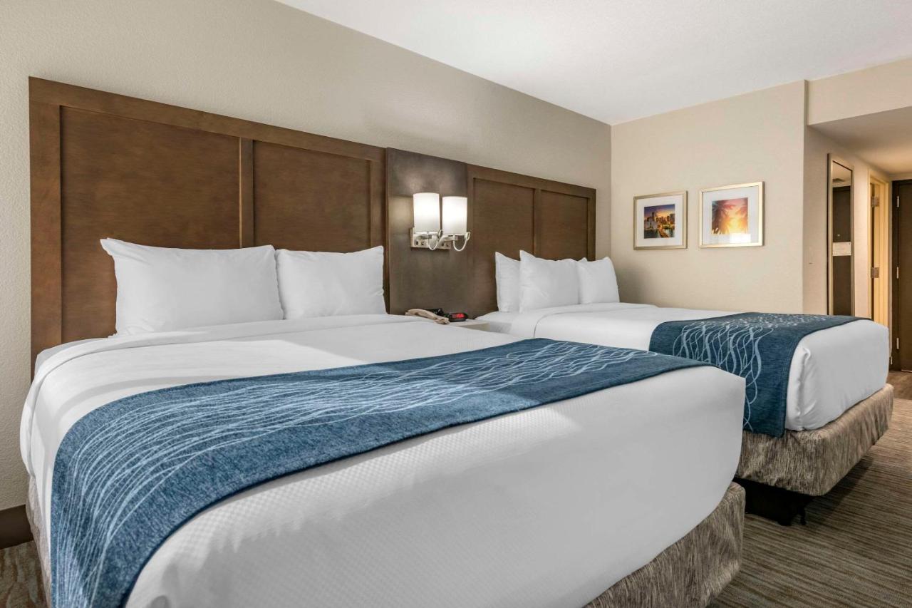 Queen Room with Two Queen Beds - Non-Smoking at Comfort Inn & Suites Downtown Brickell - Port of Miami