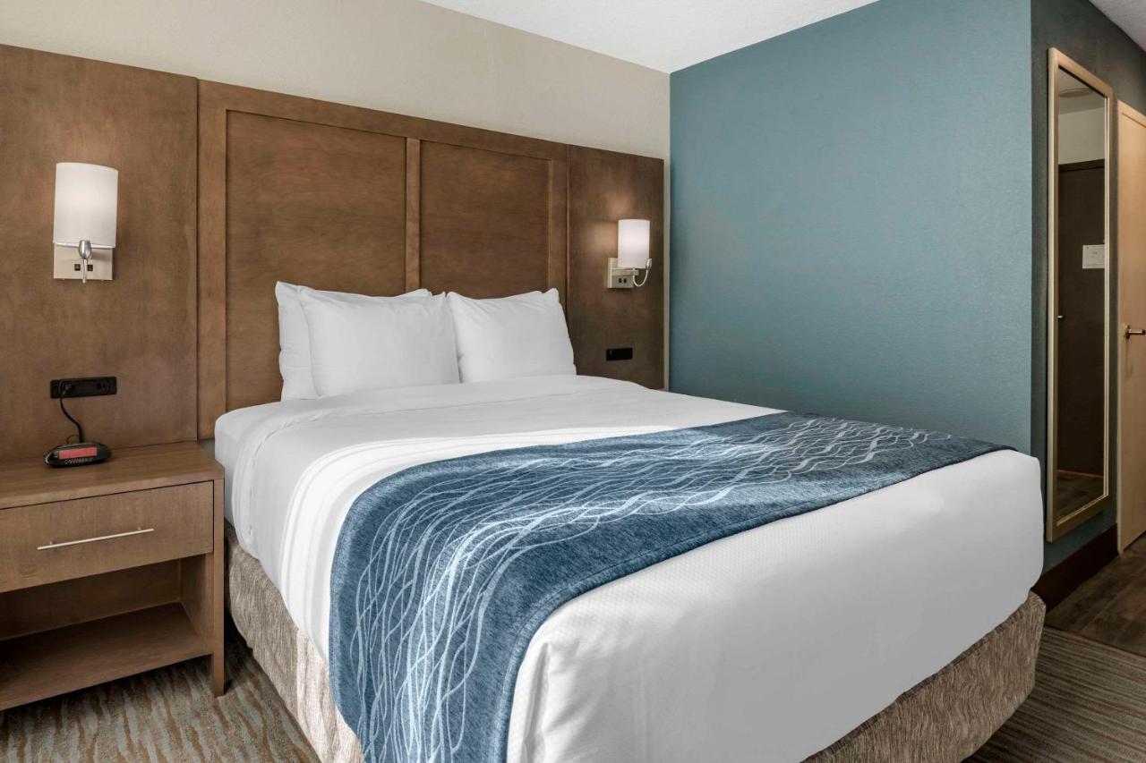 Queen Room - Accessible/Nonsmoking at Comfort Inn & Suites Downtown Brickell - Port of Miami