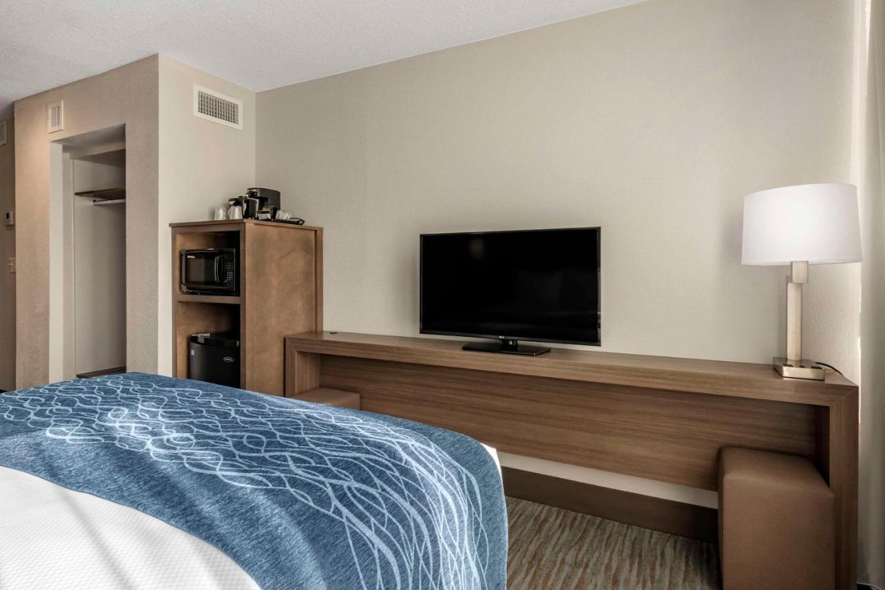 Queen Room - Accessible/Nonsmoking at Comfort Inn & Suites Downtown Brickell - Port of Miami