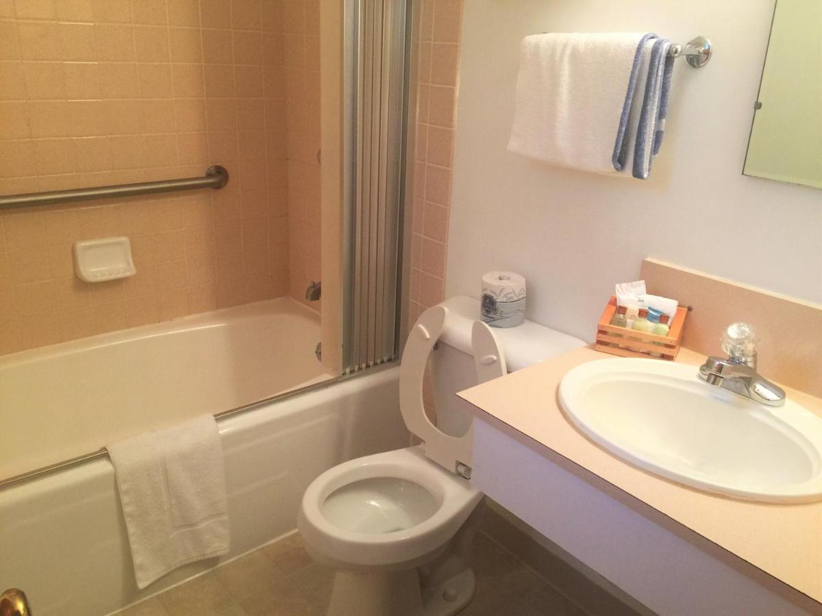 Comfort Double Room at Cedar Motor Inn