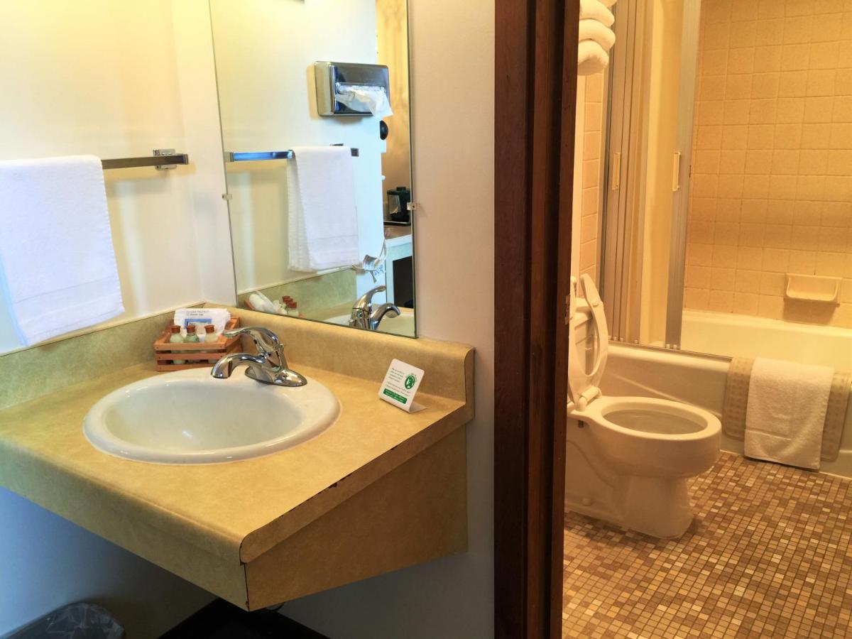 Deluxe Quadruple Room at Cedar Motor Inn