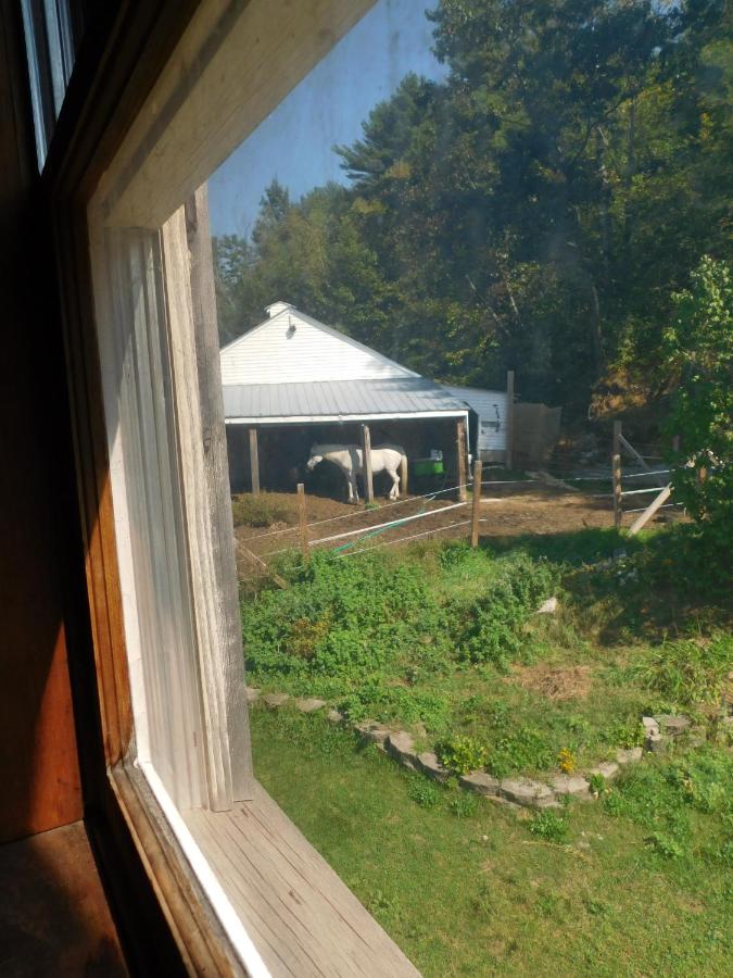 | No View Farm