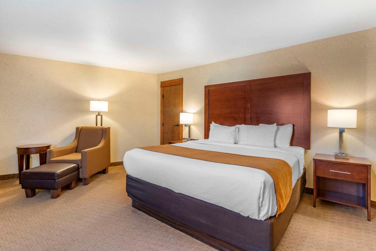 King Room - Pet-Friendly/Non-Smoking at Comfort Inn & Suites Lincoln City