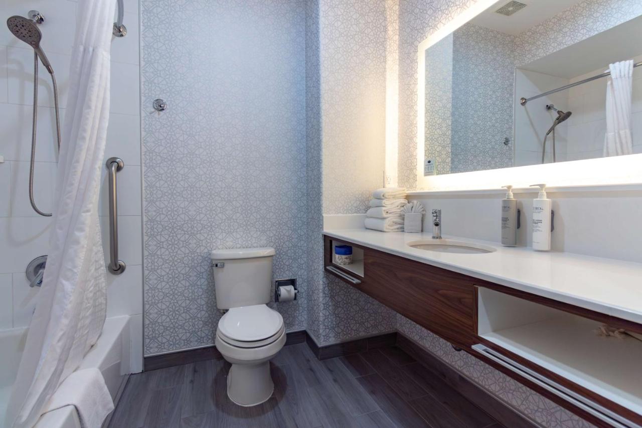 Non-Smoking Studio King Suite at Hampton Inn & Suites Denton