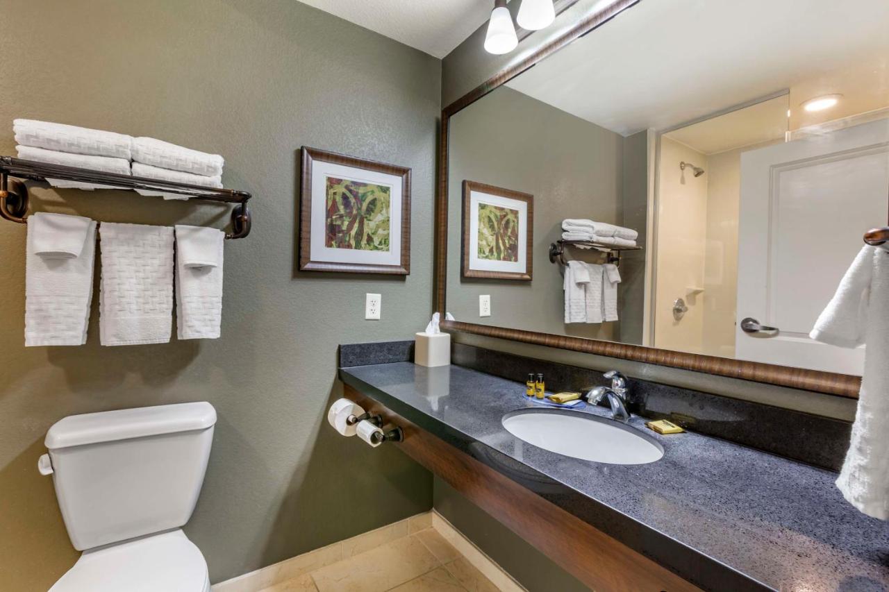 | Best Western Plus Chandler Hotel & Suites