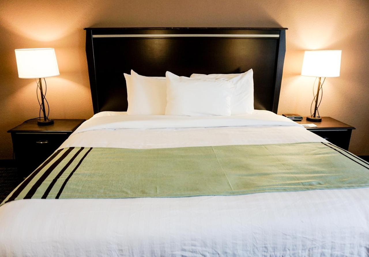 Executive King Room at Boarders Inn & Suites by Cobblestone Hotels – Grand Island