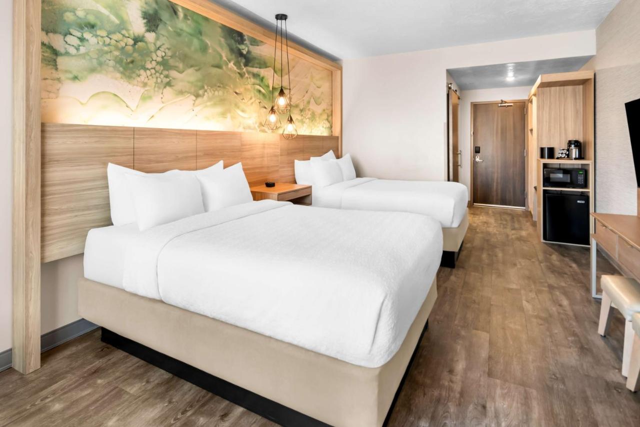 Queen Room with Two Queen Beds - Pet-friendly at Best Western Plus Settlers Point