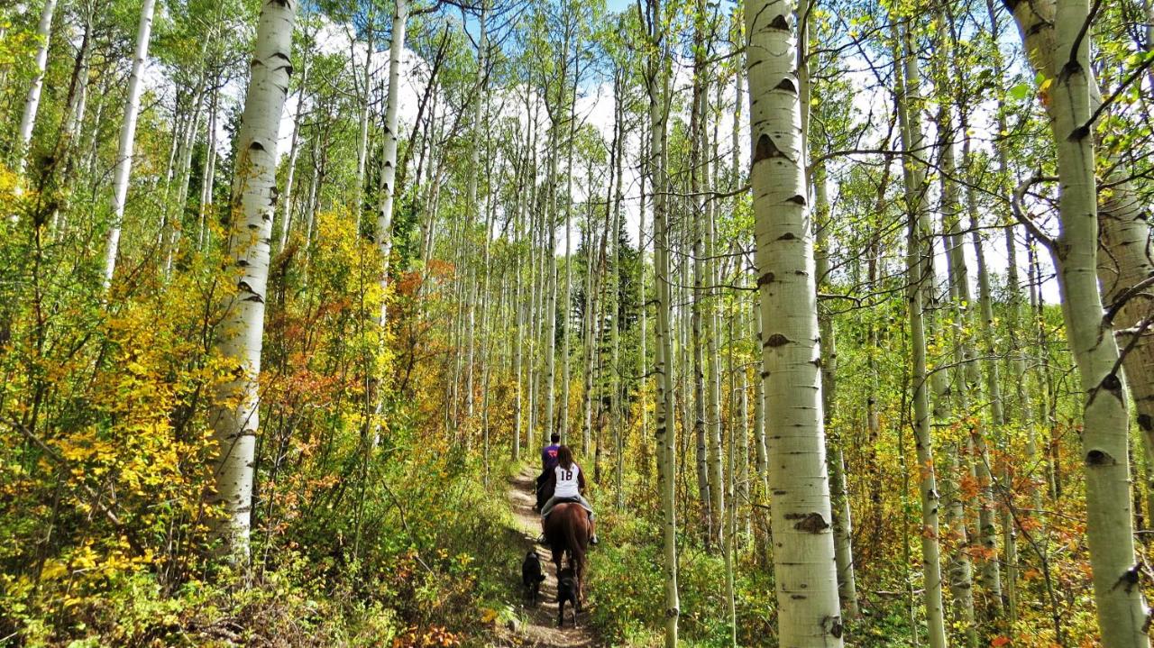| Teton Hostel HideAway