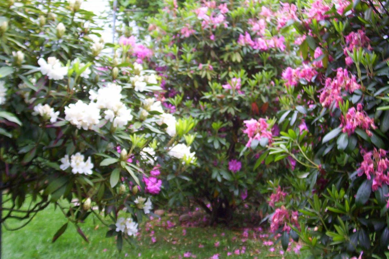 | Arbor View House Bed and Breakfast