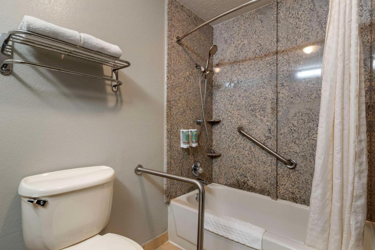 King Room - Disability Access at Best Western Auburn/Opelika Inn