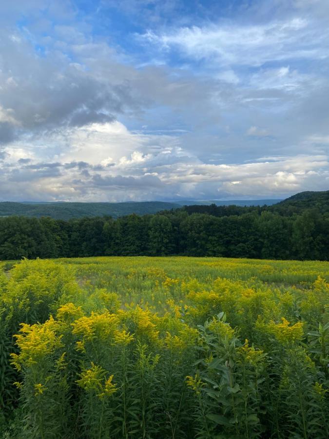 | August Lodge Cooperstown
