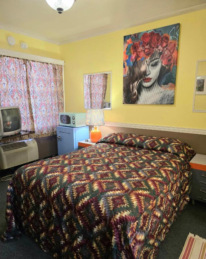 Budget Double Room at Harry's Man Cave: The New Star Motel Experience