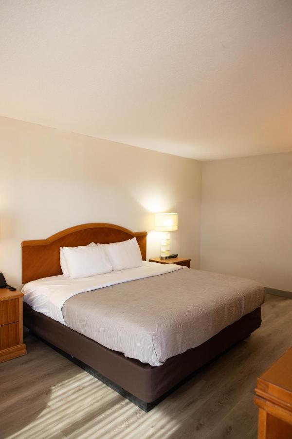 King Room - Accessible/Non-Smoking at Quality Inn & Suites Lake Havasu City