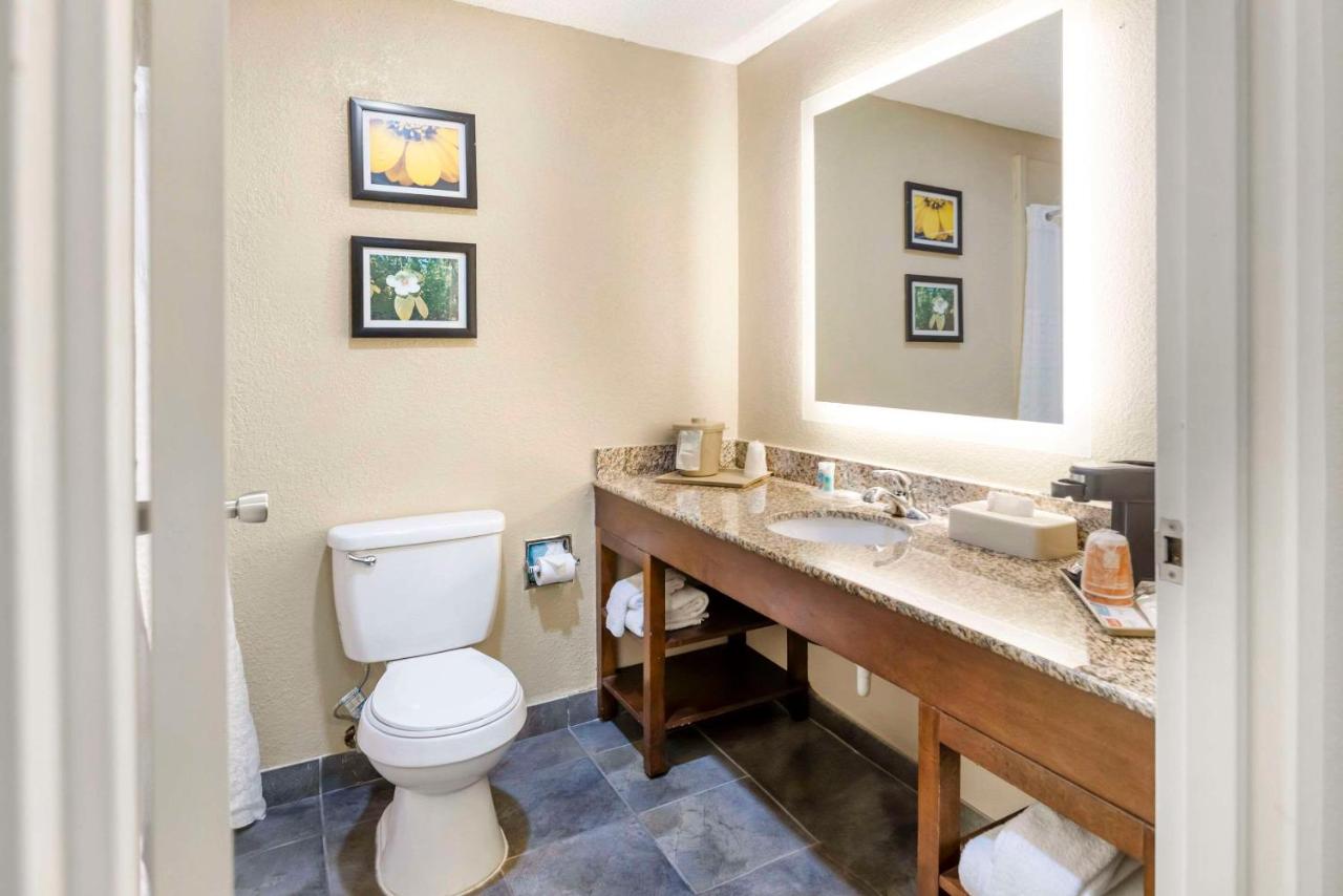King Suite with Sofa Bed - Non-Smoking at Comfort Inn Meridian - Bonita Lakes