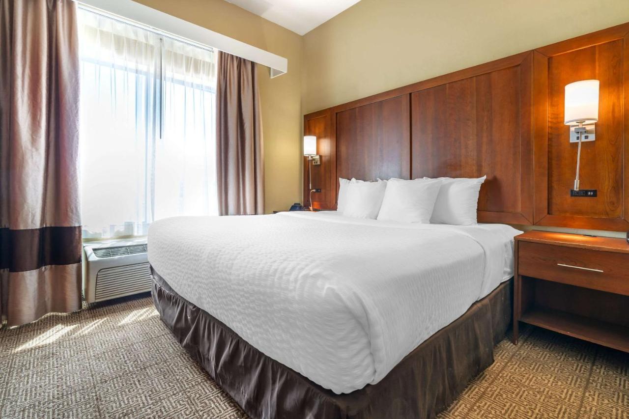 King Suite - Non-Smoking at Comfort Suites Gallup East Route 66 and I-40