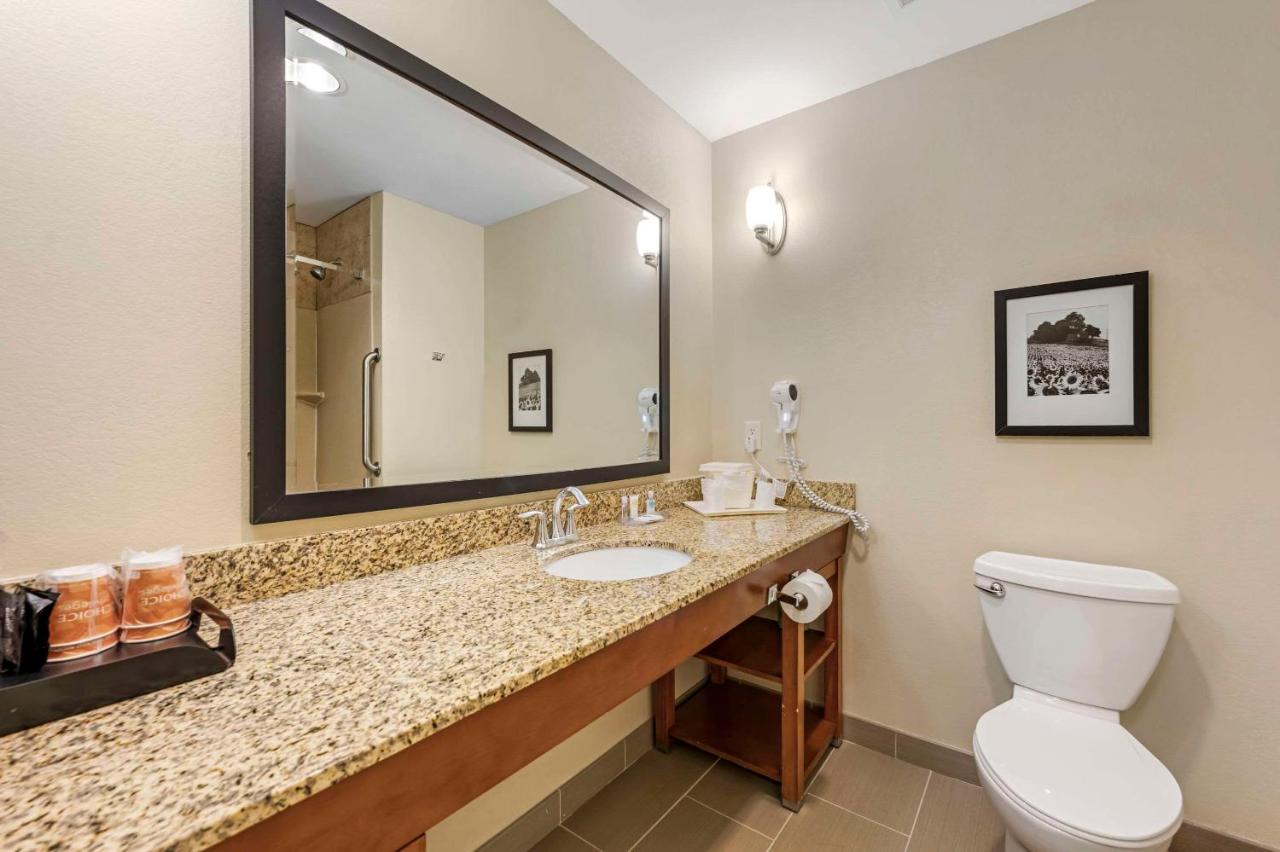 King Suite with Sofa Bed - Non-Smoking at Comfort Suites East Lincoln - Mall Area
