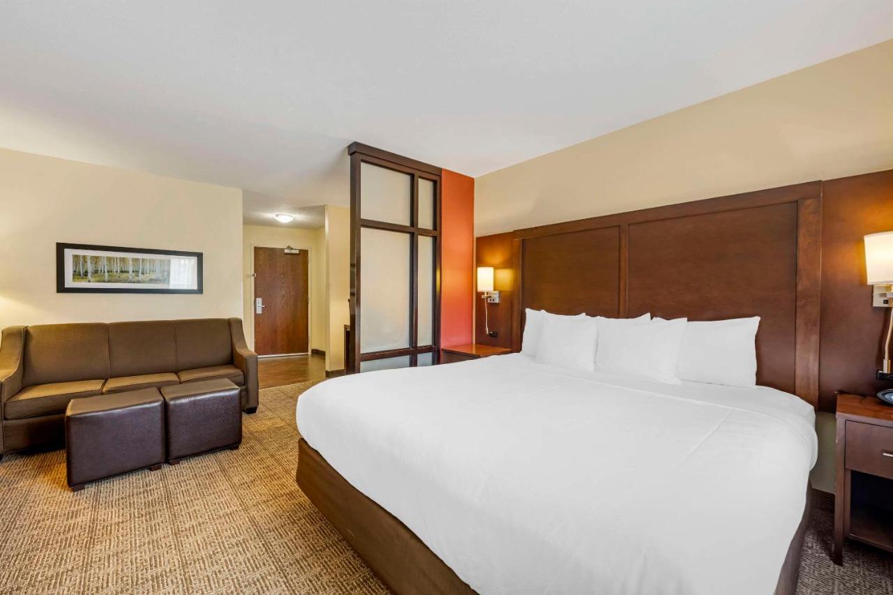 King Suite with Sofa Bed - Non-Smoking at Comfort Suites East Lincoln - Mall Area